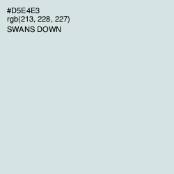 #D5E4E3 - Swans Down Color Image